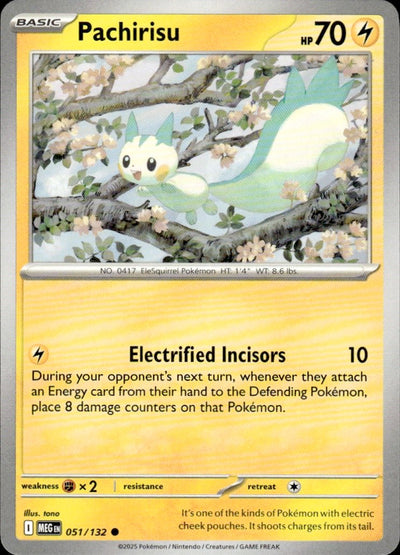 Pachirisu | Mega Evolution #51 [Normal]