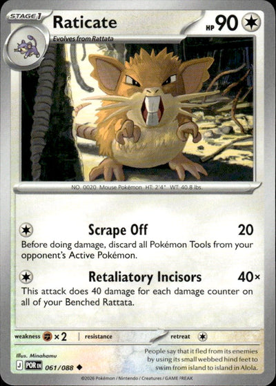 Raticate | Perfect Order #61 [Normal]