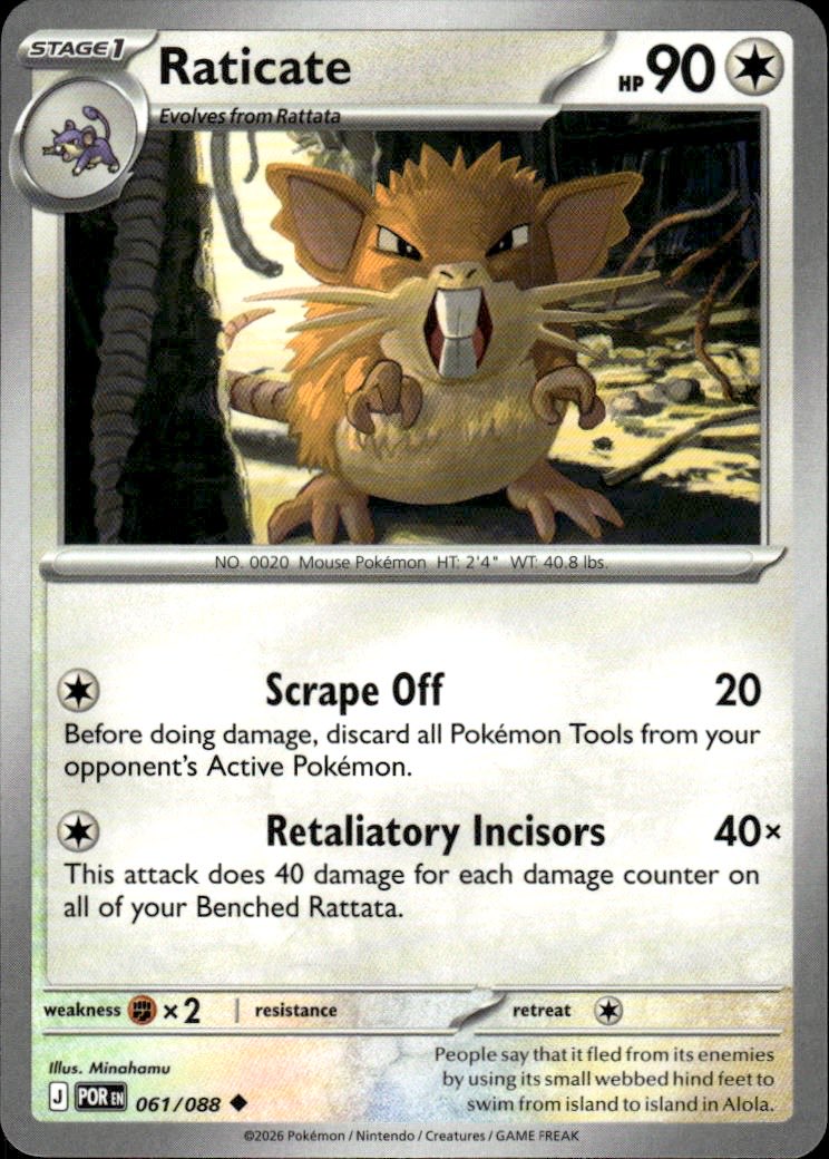Raticate | Perfect Order #61 [Normal]