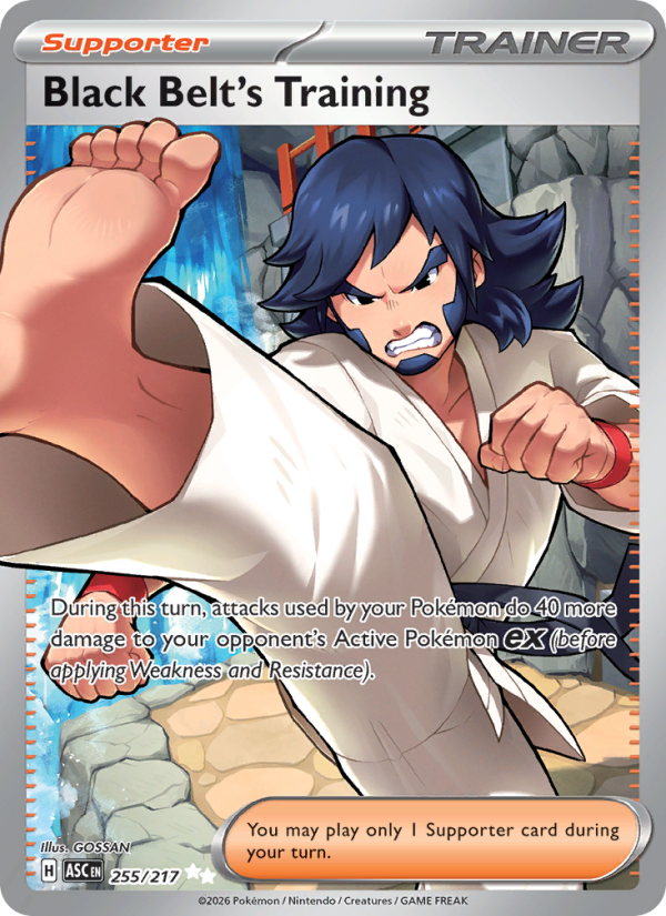 Black Belt's Training #255/217 | Ascended Heroes | Pokémon TCG