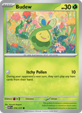 Budew (Energy Symbol Pattern) #016/217 | Ascended Heroes | Pokémon TCG