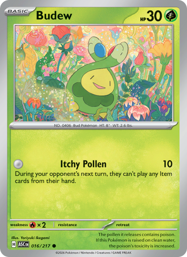 Budew (Friend Ball) #016/217 | Ascended Heroes | Pokémon TCG