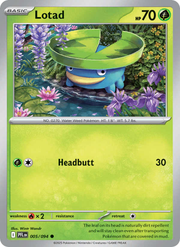 Lotad #005/094 | Phantasmal Flames | Pokémon TCG