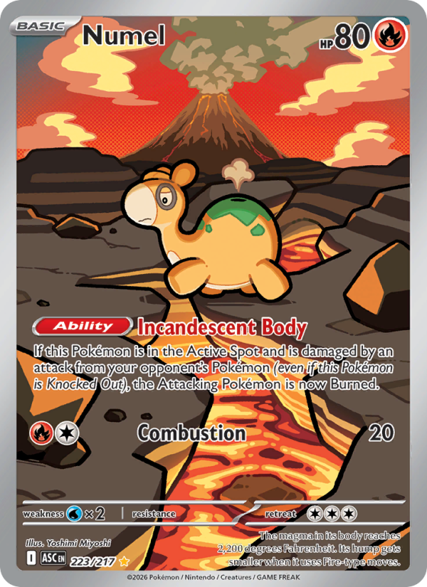 Numel #223/217 | Ascended Heroes | Pokémon TCG