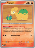 Numel #027/217 | Ascended Heroes | Pokémon TCG