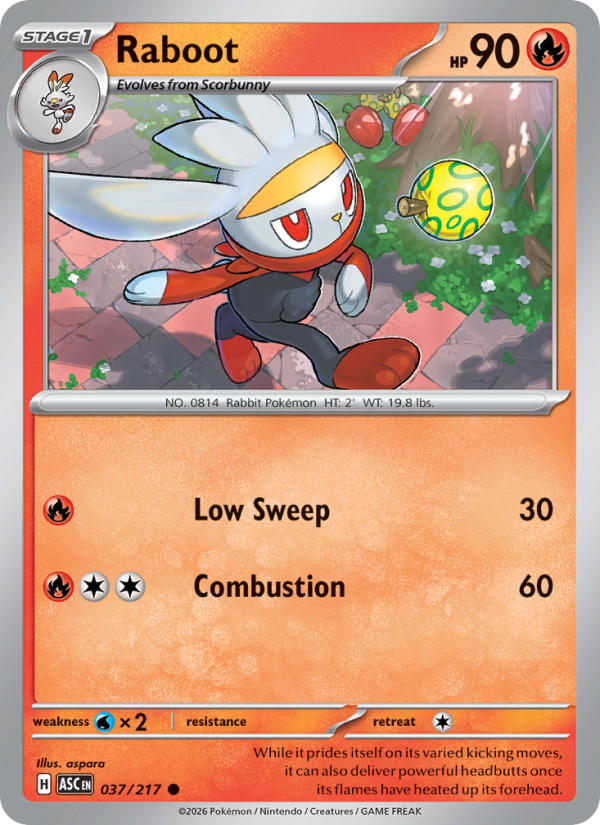 Raboot #037/217 | Ascended Heroes | Pokémon TCG